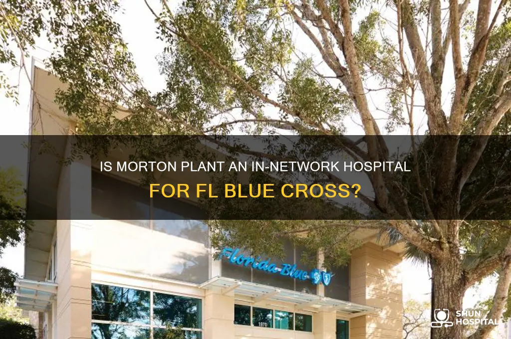 is mortan plant an un network hospital for flx bluecsee