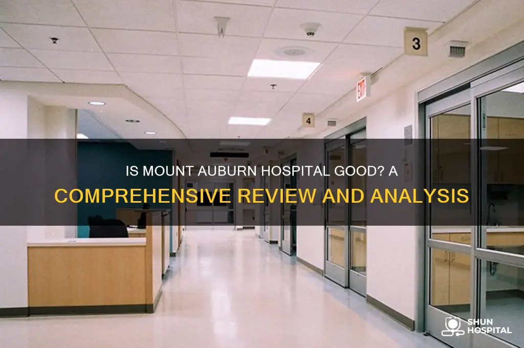 is mount auburn hospital good