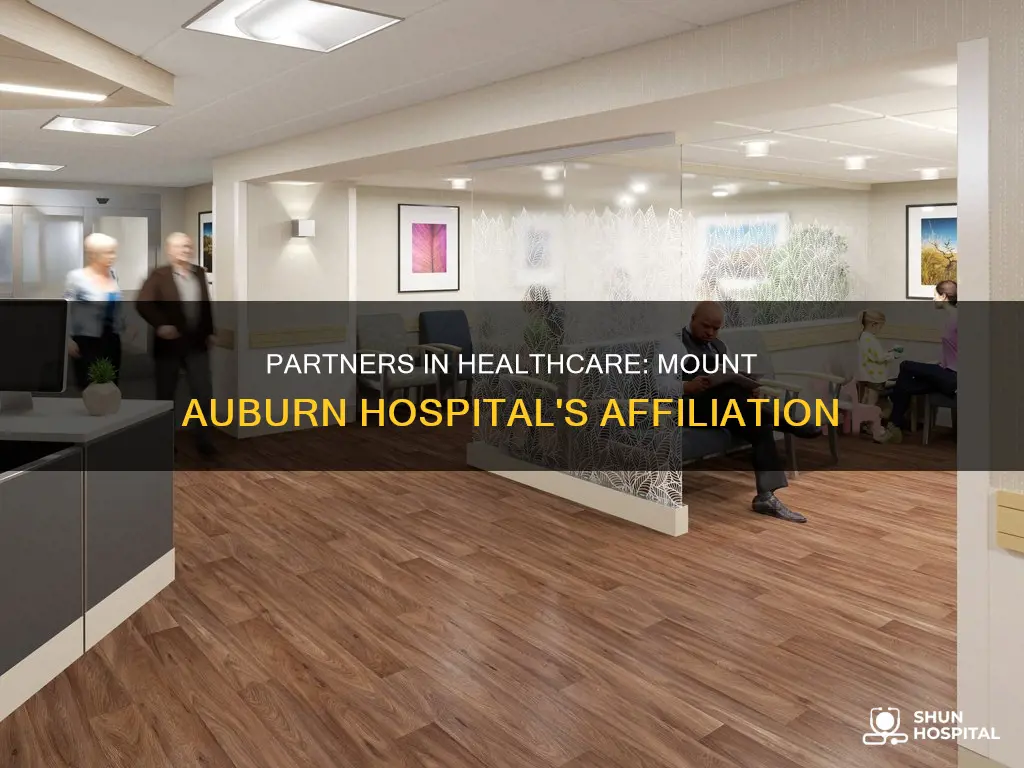 is mount auburn hospital part of partners