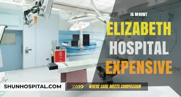 Is Mount Elizabeth Hospital Expensive? Cost Analysis and Insights
