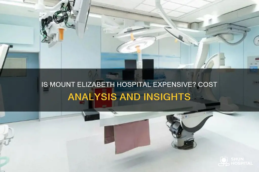is mount elizabeth hospital expensive