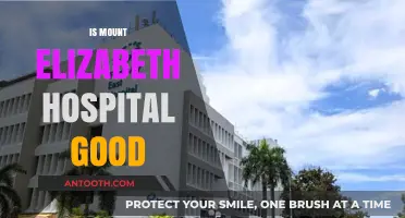 Is Mount Elizabeth Hospital Good? A Comprehensive Review and Analysis