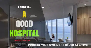 Exploring the Reputation and Quality of Care at Mount Sinai Hospital
