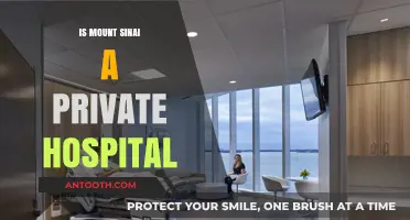 Exploring the Status of Mount Sinai: Private or Public Hospital?