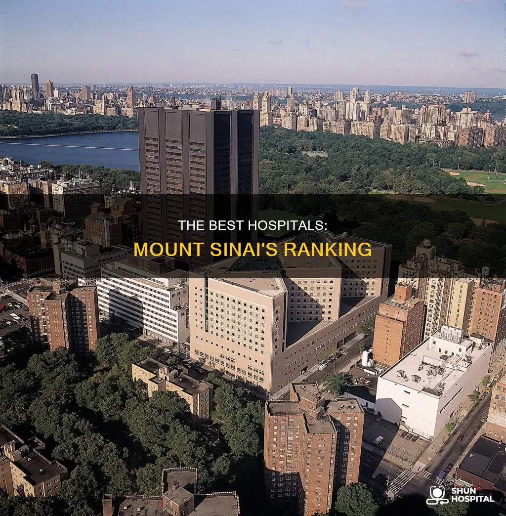 is mount sinai considered a top hospital