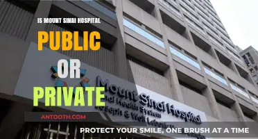 Sinai Hospital: Public or Private Healthcare?