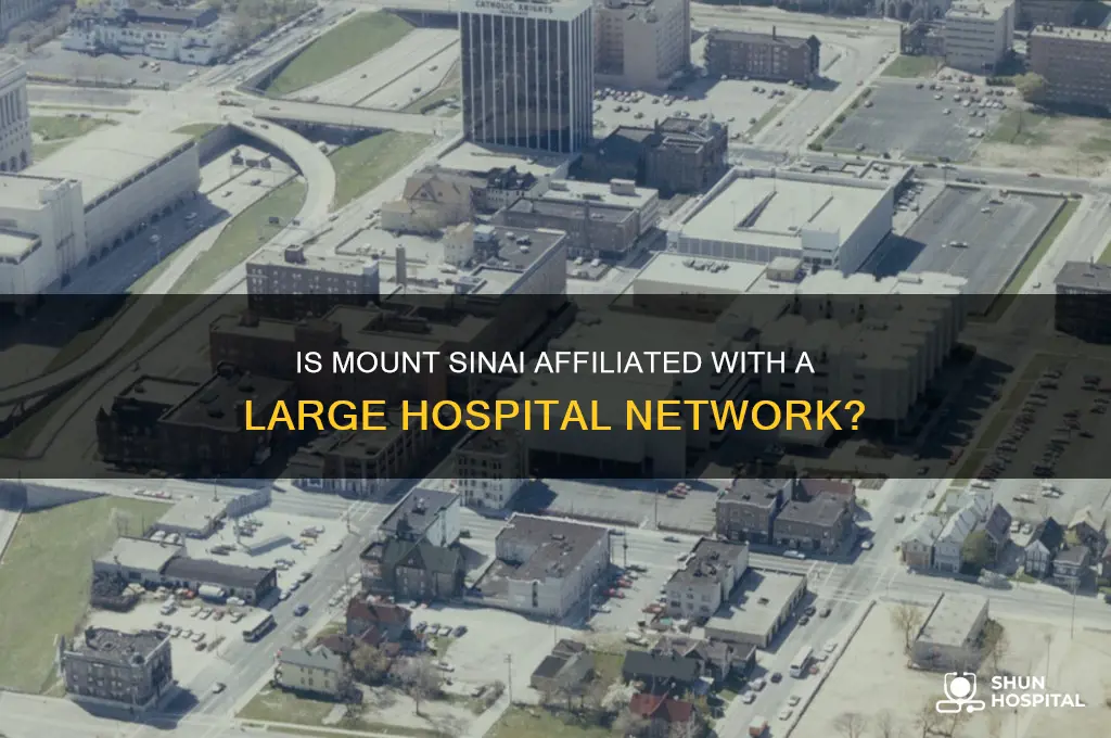 is mount sinai part of a large hospital network