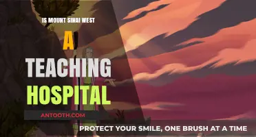 Teaching Hospitals: Mount Sinai West's Education Focus