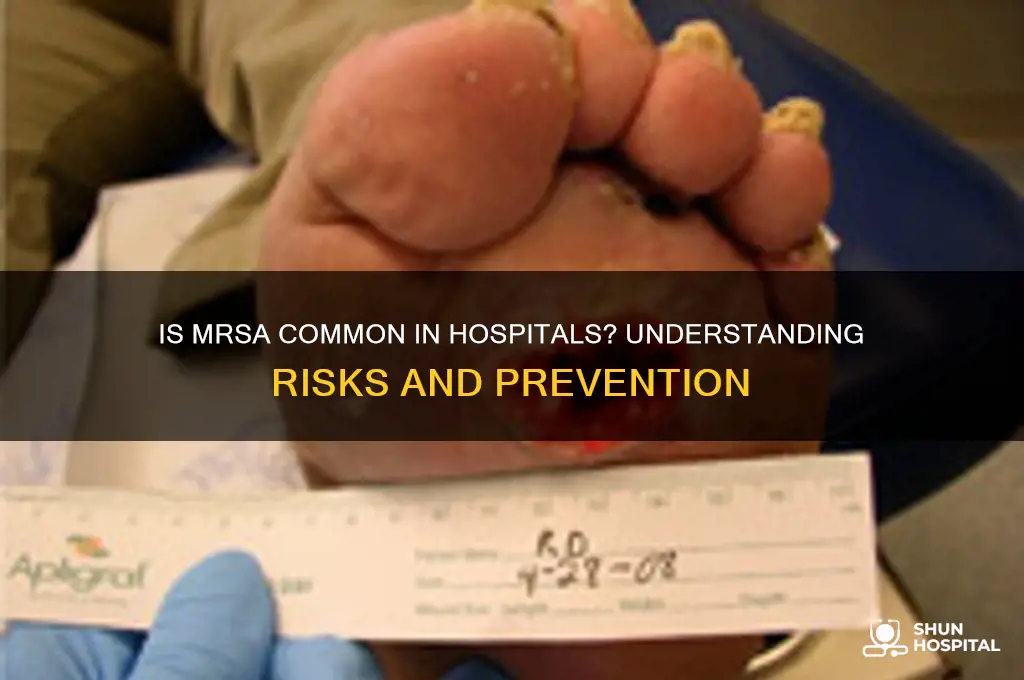 is mrsa common in hospitals
