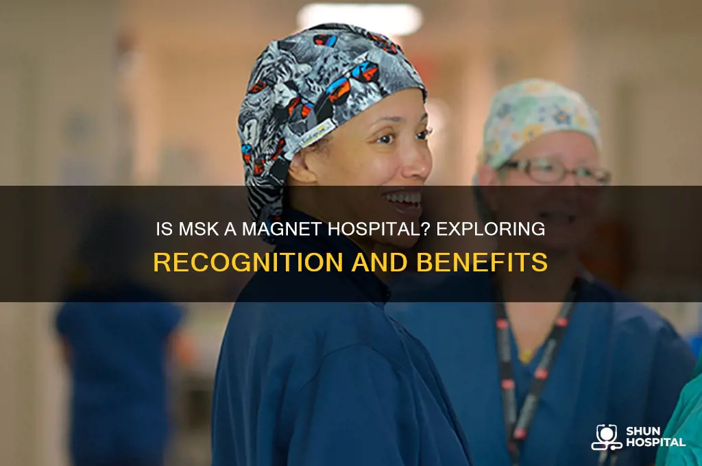 is msk a magnet hospital