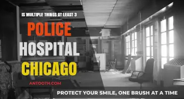 Chicago Police and Hospitals: Balancing Multiple Roles and Responsibilities