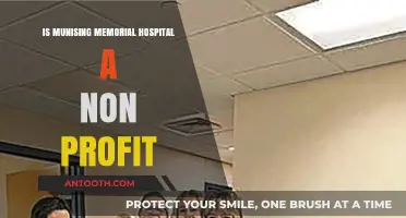 Munising Memorial Hospital: Non-Profit or For-Profit?