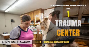 Murray Calloway County Hospital: Is It a Level 1 Trauma Center?
