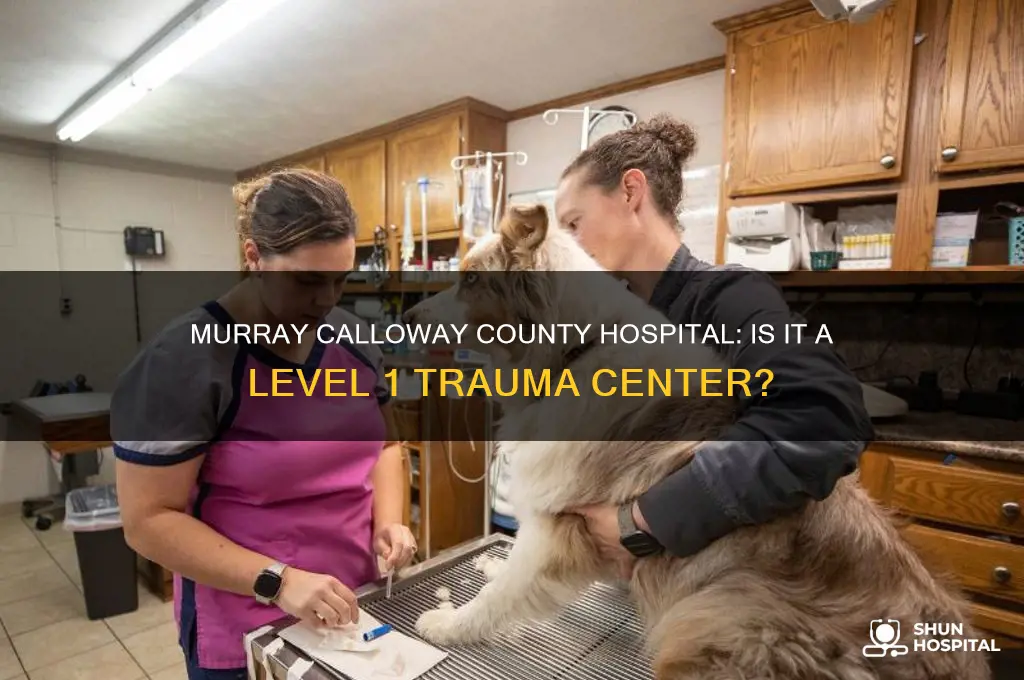 is murray calloway county hospital a level 1 trauma center