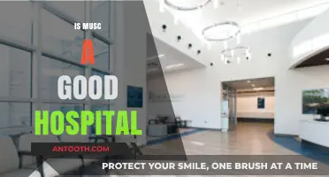 Is MUSC a Good Hospital? Evaluating Care, Reputation, and Patient Outcomes