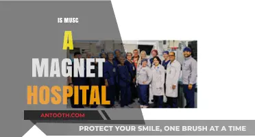 Is MUSC a Magnet Hospital? Exploring Its Nursing Excellence Status