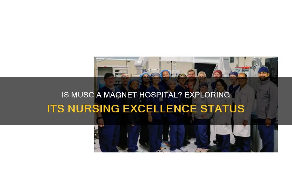 is musc a magnet hospital