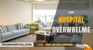 Is My Hospital Overwhelmed? Signs, Impact, and What You Can Do