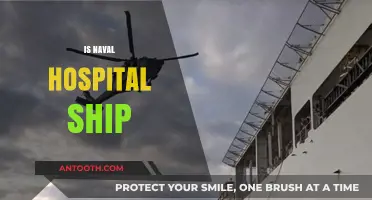 Exploring the Role and Impact of Naval Hospital Ships Globally