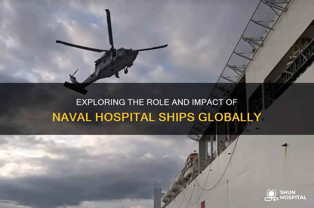is naval hospital ship