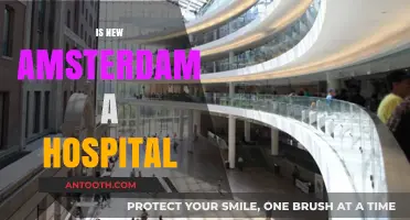Is New Amsterdam a Real Hospital? Unraveling the TV Show's Medical Mystery