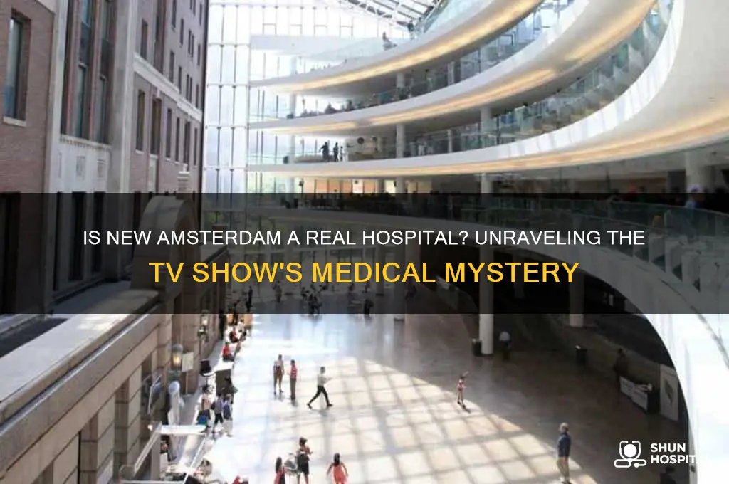 is new amsterdam a hospital