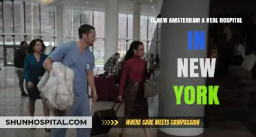 Is New Amsterdam Based on a Real NYC Hospital?