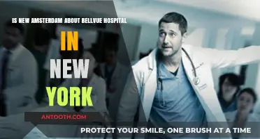 Is New Amsterdam Based on Bellevue Hospital in NYC?