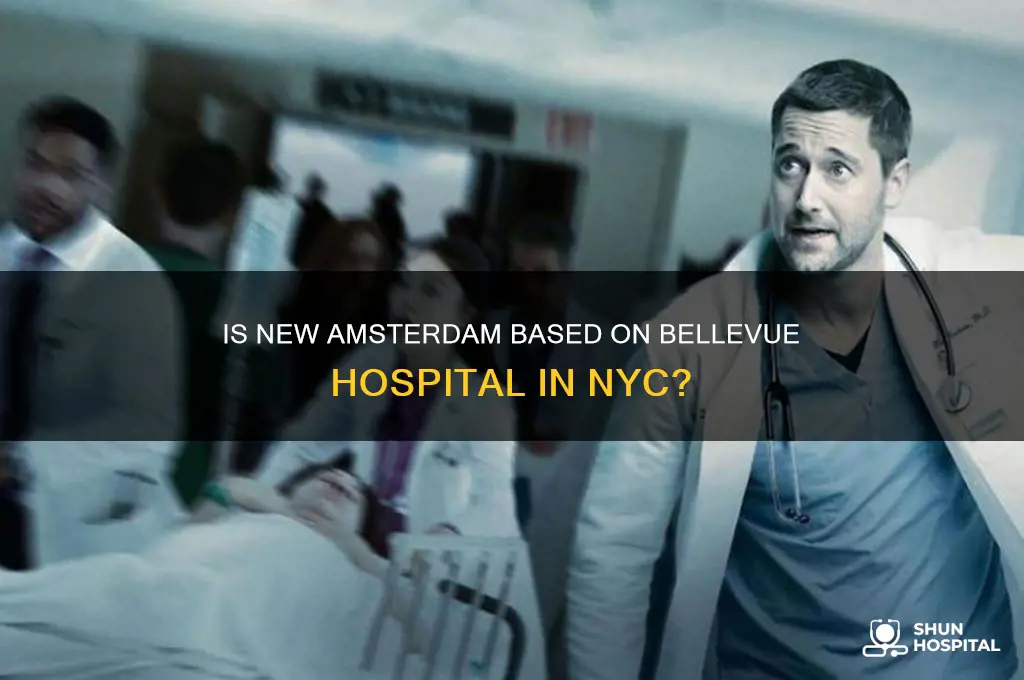 is new amsterdam about bellvue hospital in new york