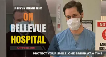 The Real-Life Hospital That Inspired New Amsterdam
