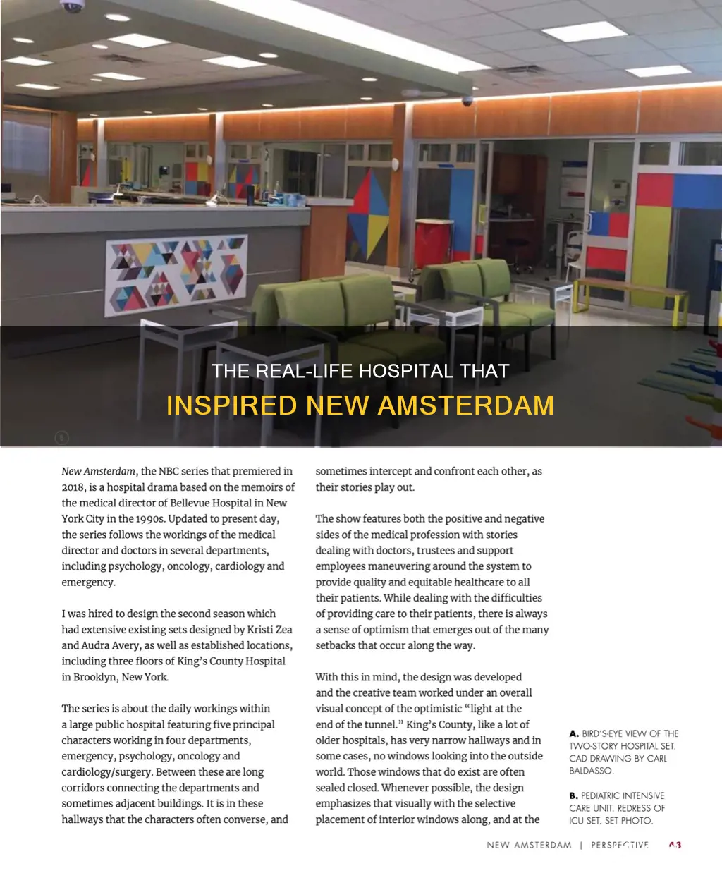 is new amsterdam based on bellevue hospital