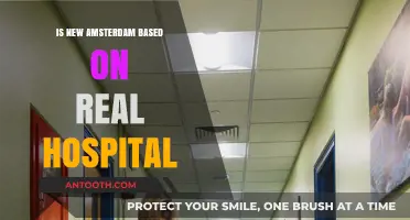 The Real-Life Hospital That Inspired New Amsterdam
