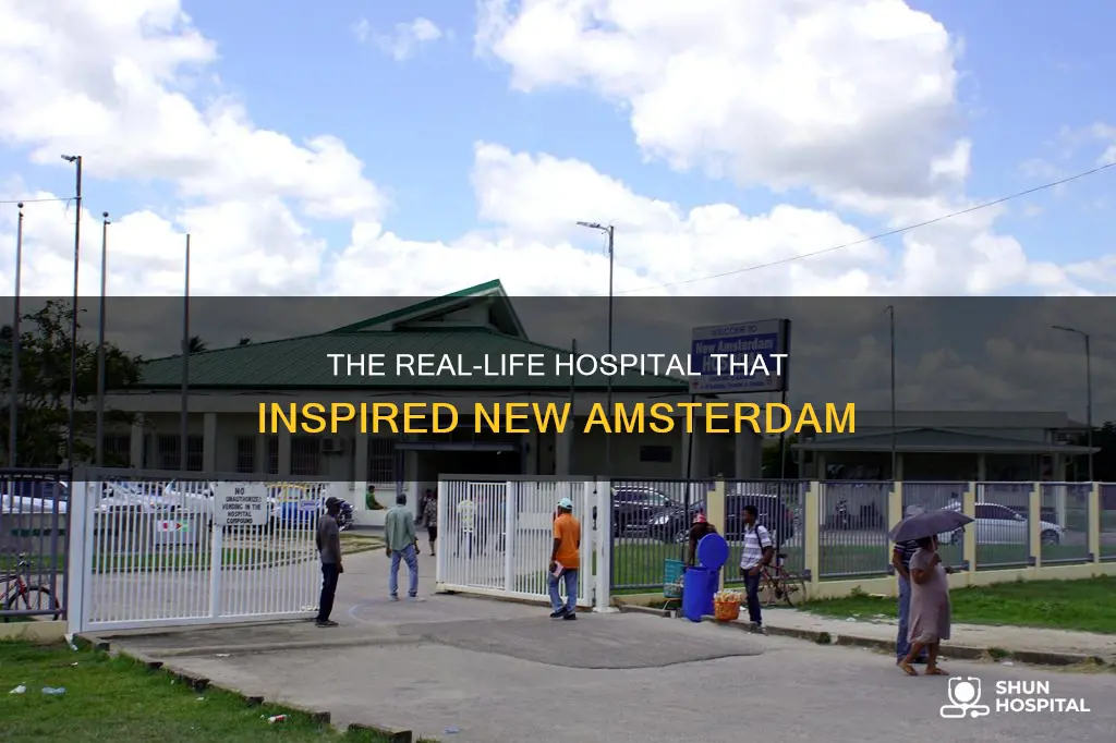 is new amsterdam based on real hospital