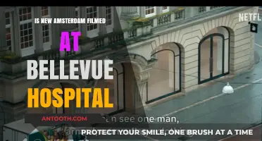 The Real-Life Hospital Behind New Amsterdam