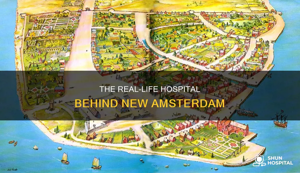 is new amsterdam filmed at bellevue hospital