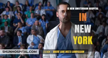 The Real New Amsterdam Hospital in NYC