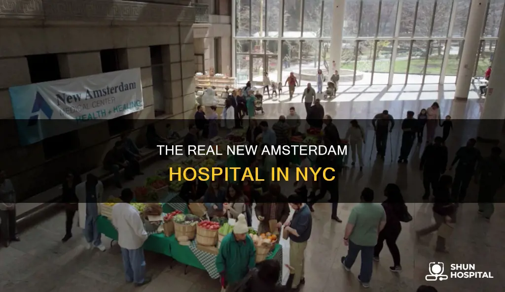 is new amsterdam hospital in new york