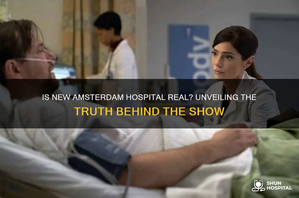 is new amsterdam hospital real