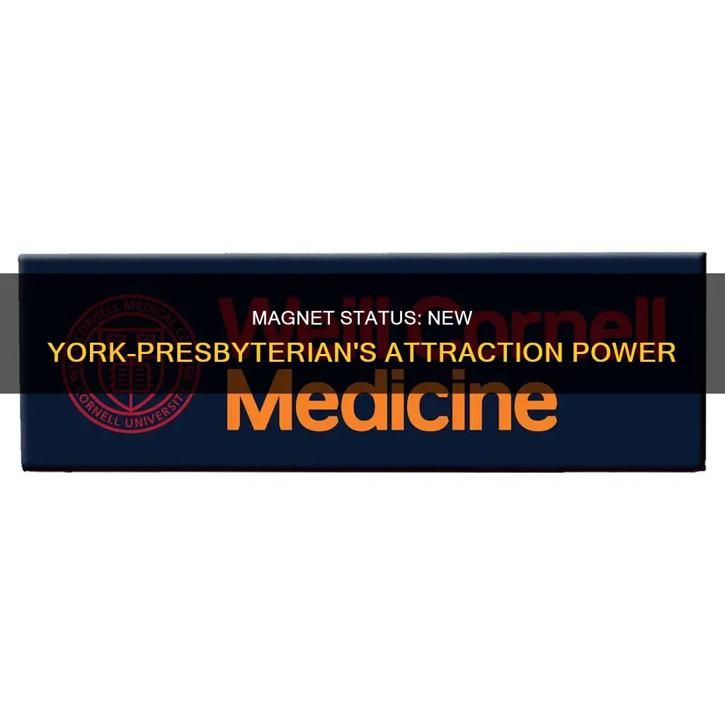 is new york presbyterian a magnet hospital