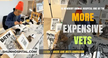 Is Newbury Animal Hospital Overpriced? Comparing Costs with Local Vets