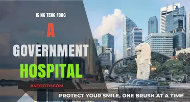 Ng Teng Fong: Public or Private Hospital?