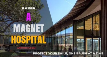 Is NorthBay a Magnet Hospital? Exploring Its Nursing Excellence Status