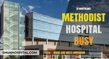 Is Northlake Methodist Hospital Always Busy? Exploring Patient Traffic Insights