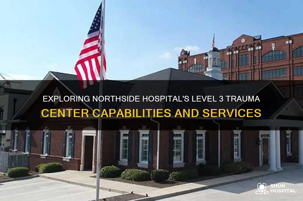 is northside hospital level 3