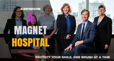 Is Northwestern a Magnet Hospital? Exploring Its Nursing Excellence Status