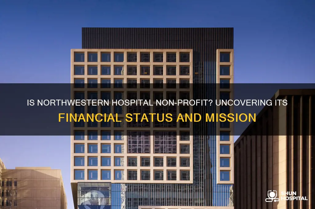 is northwestern hospital non profit