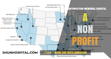 Northwestern Memorial Hospital: Non-Profit or For-Profit?