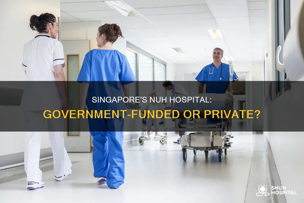is nuh singapore a government funded hospital