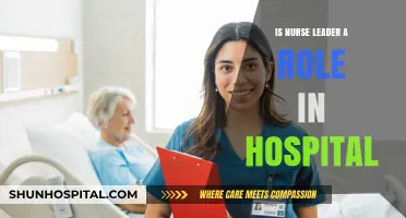 Leadership Roles: Nurses Leading in Hospitals