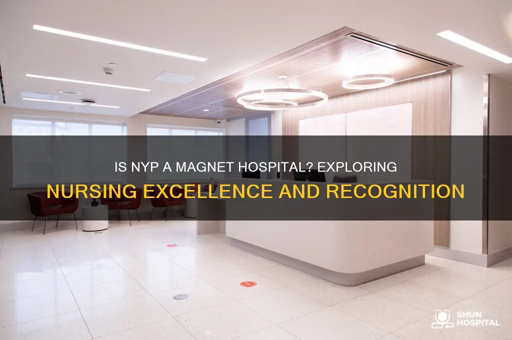 is nyp a magnet hospital